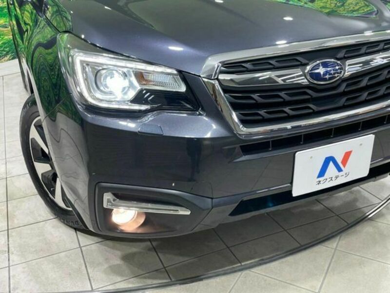 FORESTER