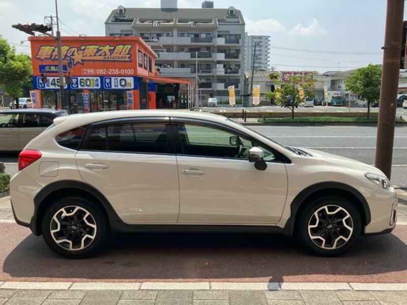 XV