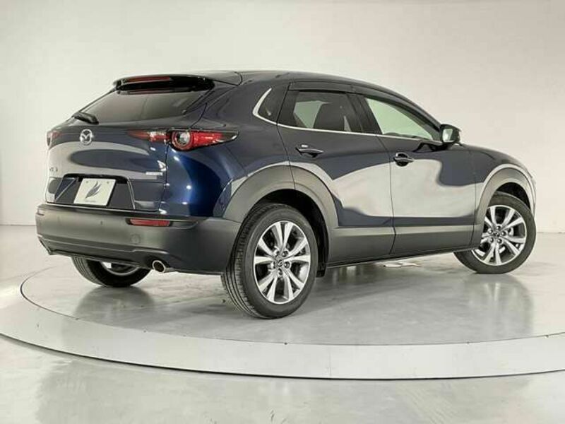 CX-30