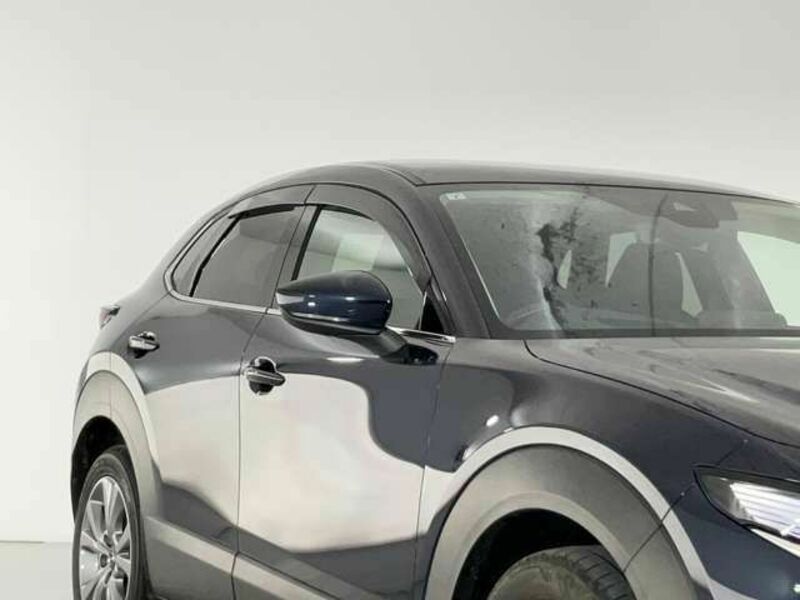 CX-30