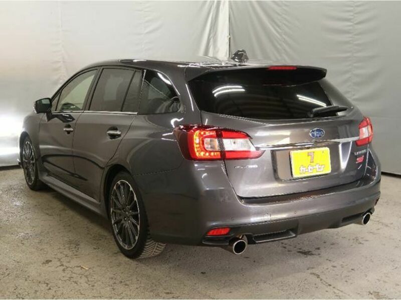 LEVORG