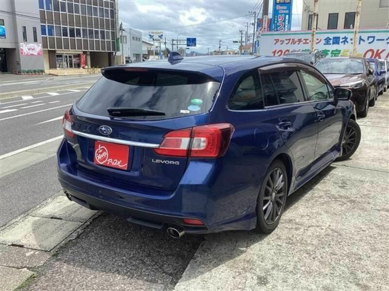 LEVORG