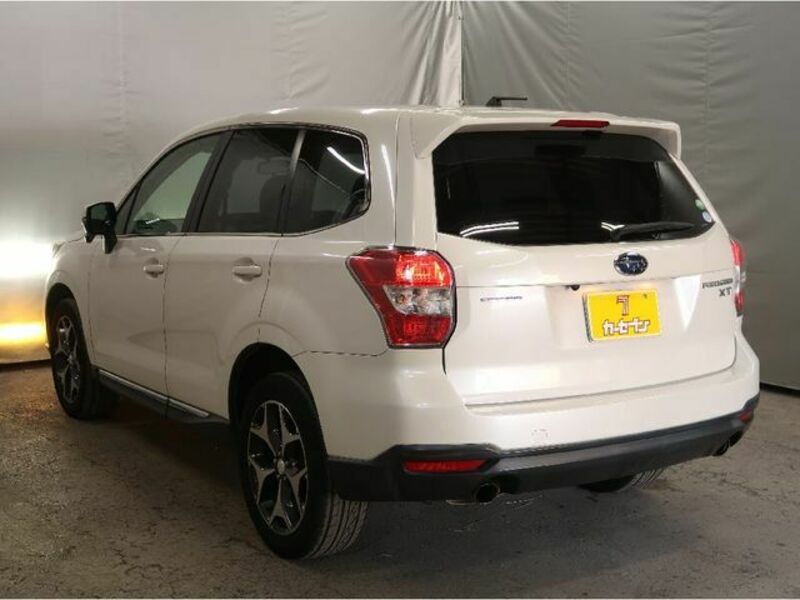 FORESTER