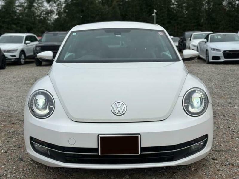 THE BEETLE