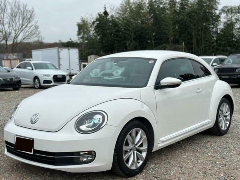 THE BEETLE