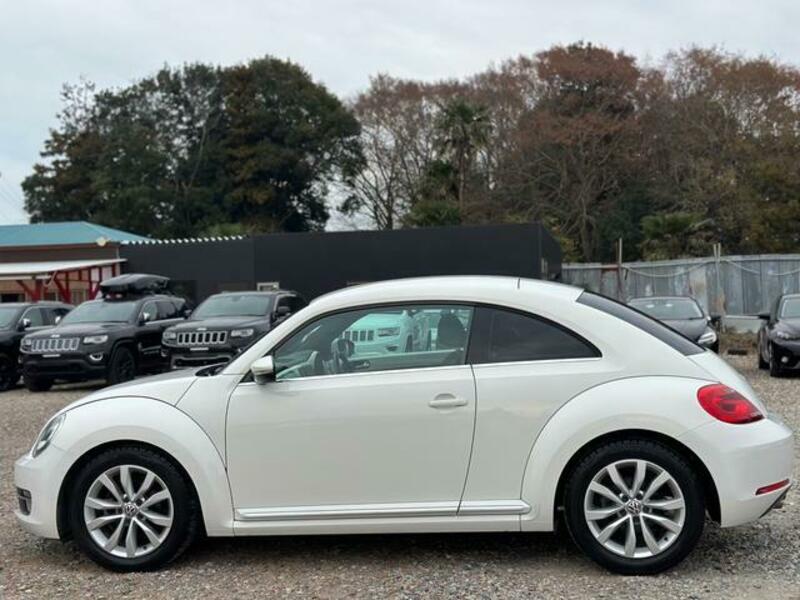 THE BEETLE