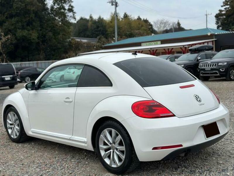 THE BEETLE