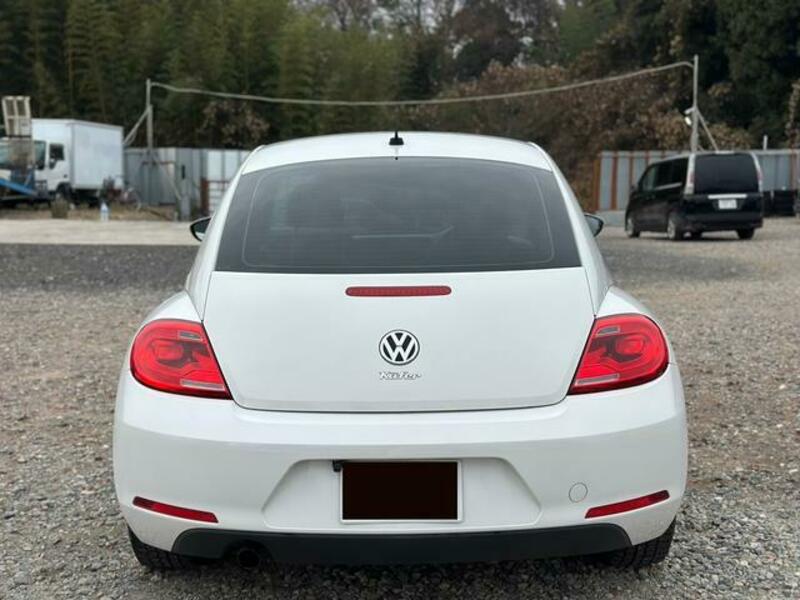 THE BEETLE