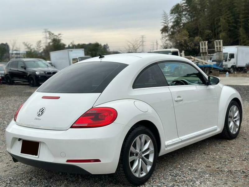 THE BEETLE