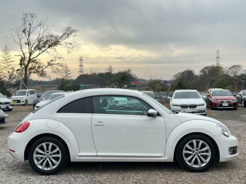 THE BEETLE