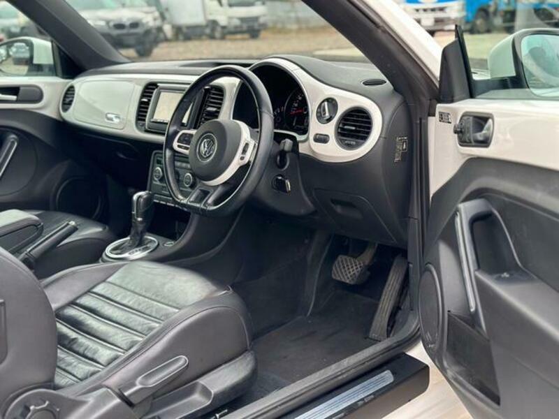 THE BEETLE