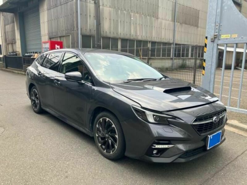 LEVORG