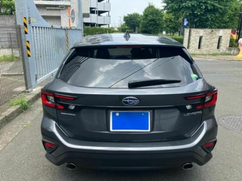 LEVORG