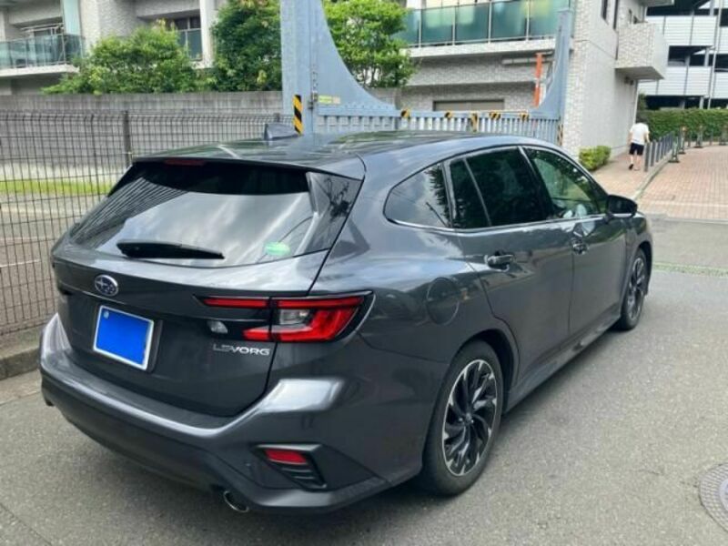 LEVORG