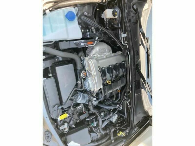 ROADSTER RF