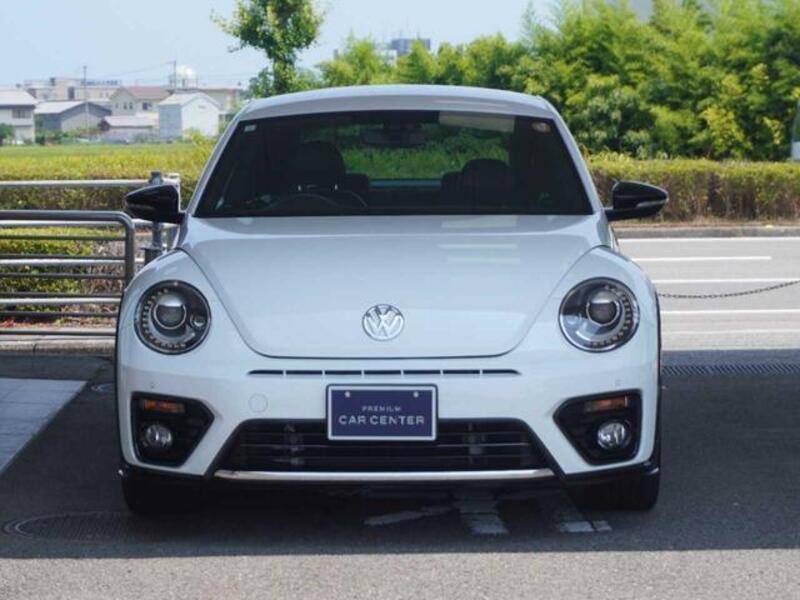 THE BEETLE