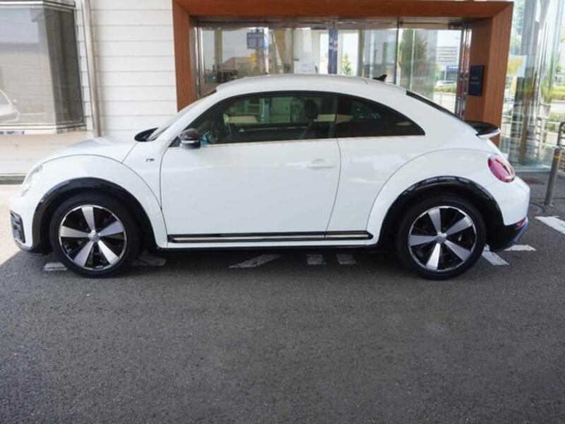 THE BEETLE