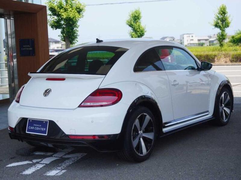 THE BEETLE