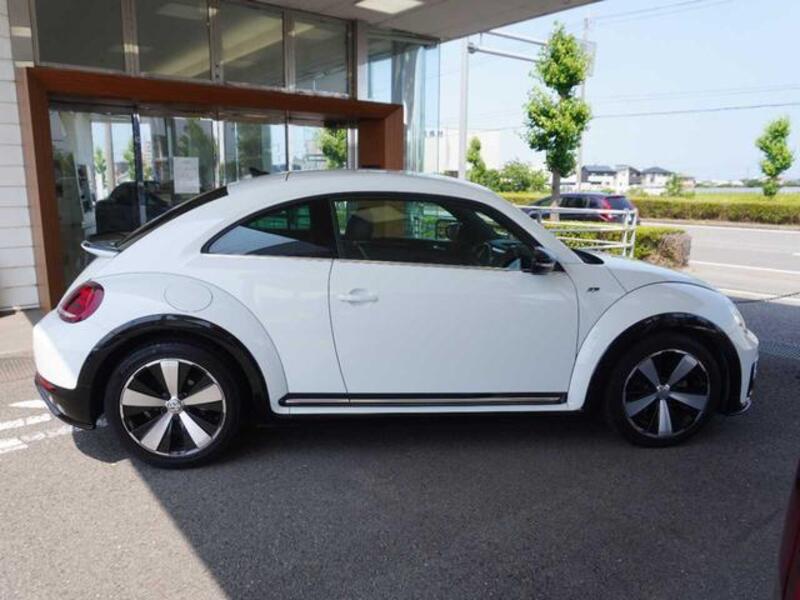 THE BEETLE
