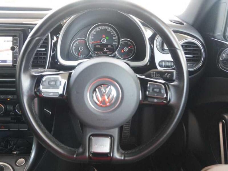 THE BEETLE
