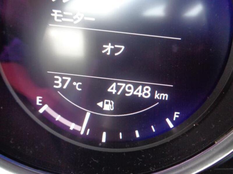 ROADSTER RF