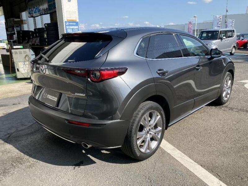 CX-30