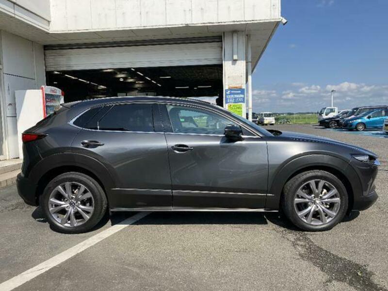CX-30