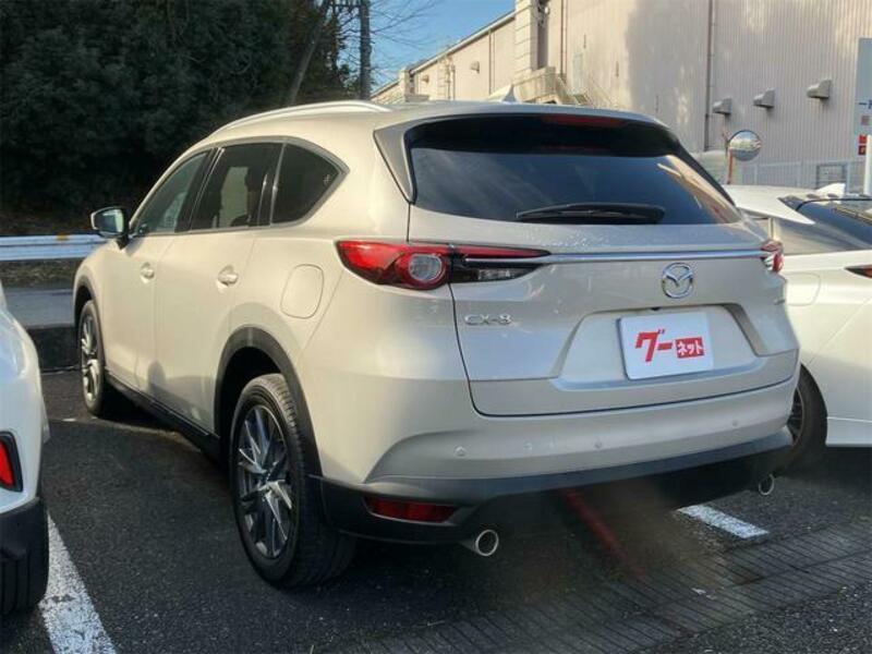 CX-8