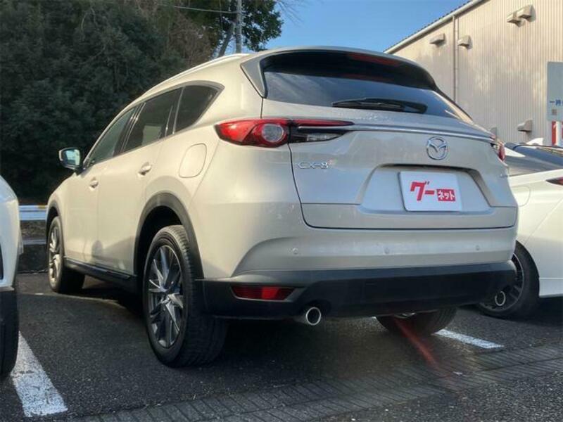 CX-8
