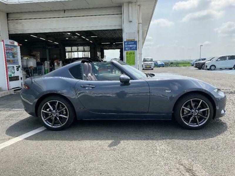 ROADSTER RF