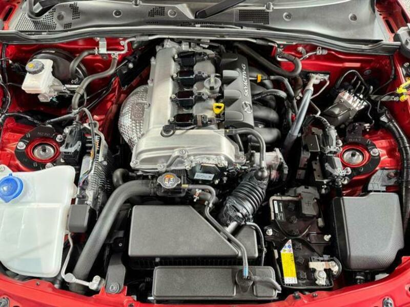 ROADSTER RF