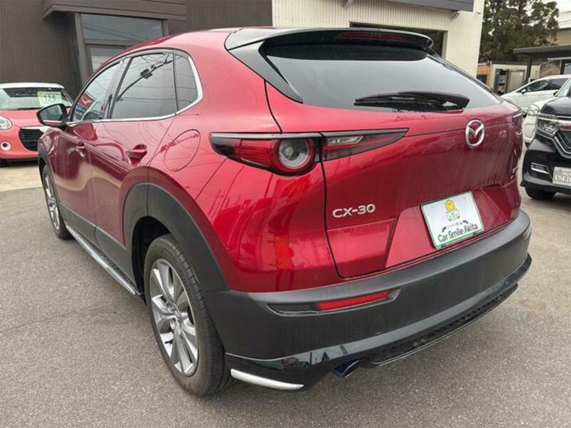 CX-30