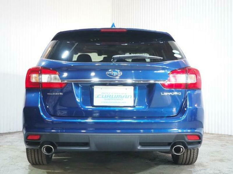 LEVORG