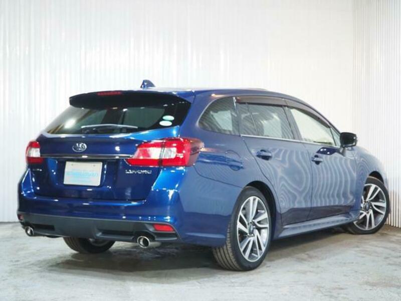 LEVORG