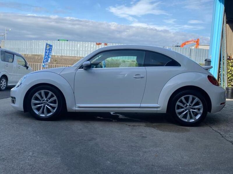 THE BEETLE