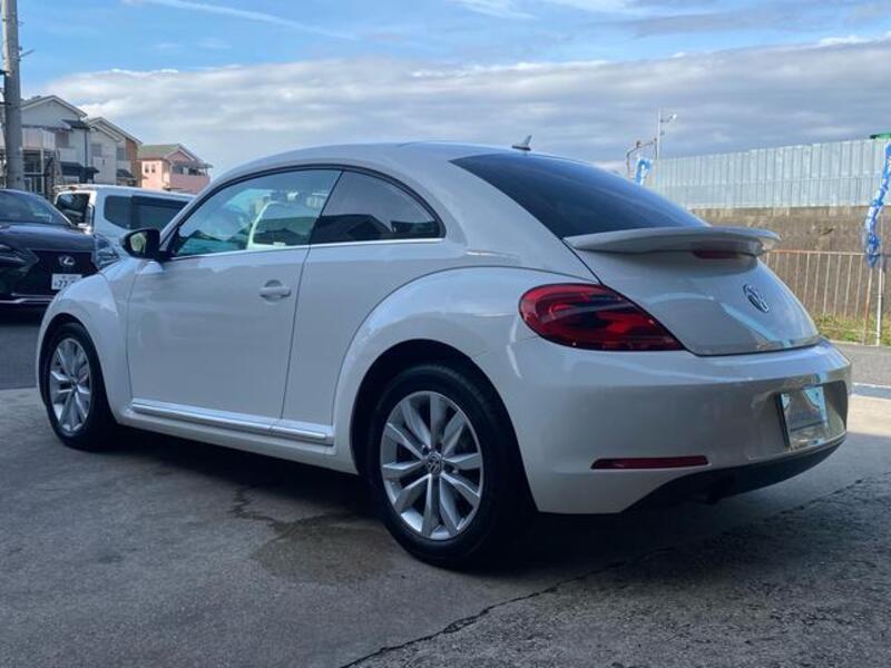 THE BEETLE