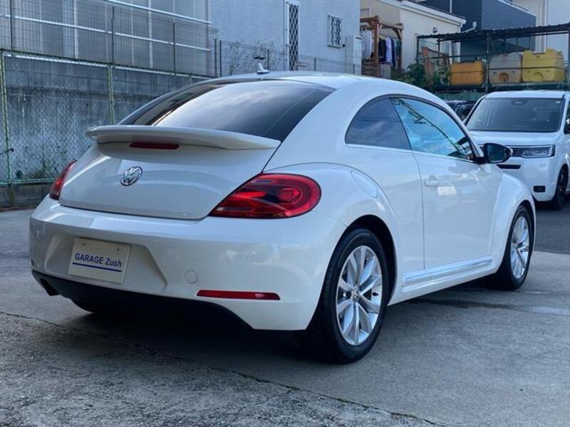 THE BEETLE
