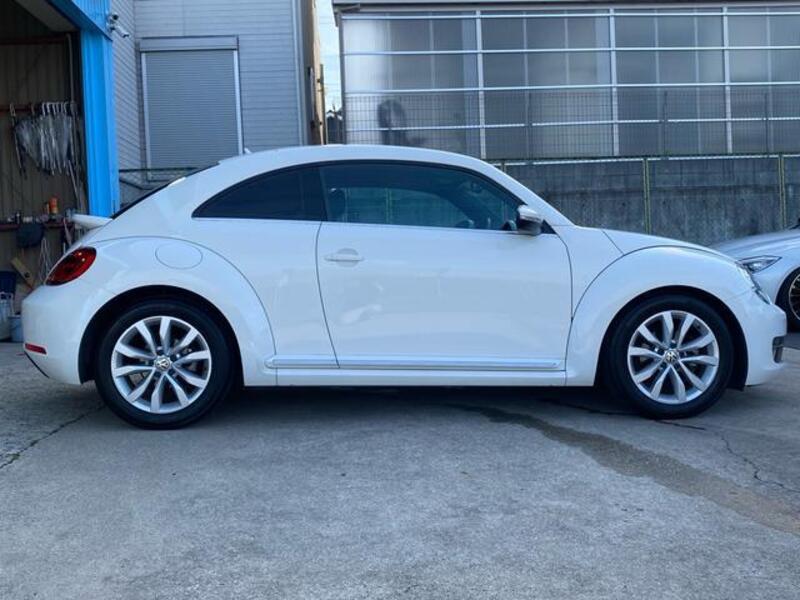 THE BEETLE
