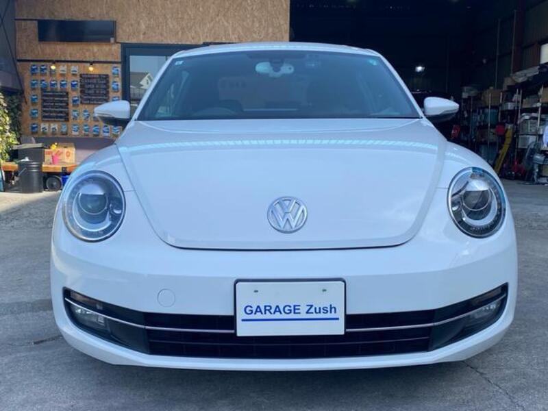 THE BEETLE