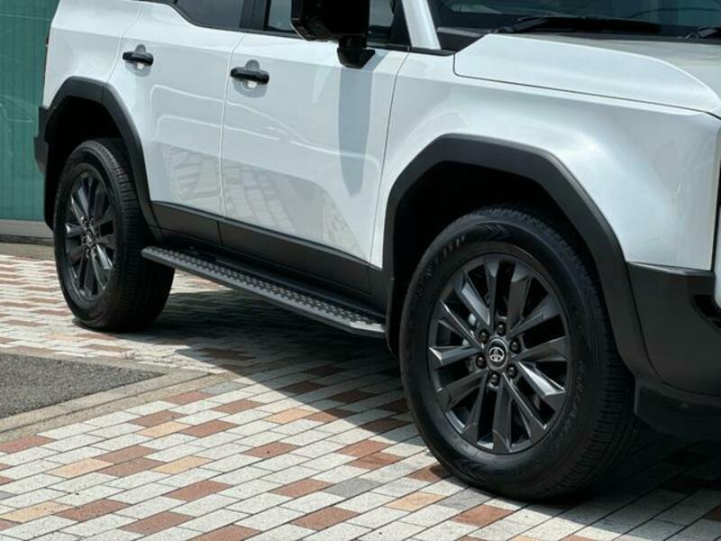 LAND CRUISER 250