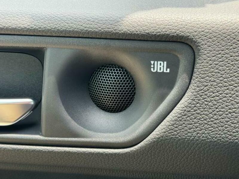 LAND CRUISER 250
