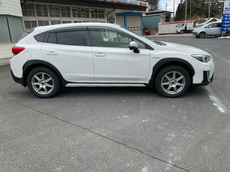 XV