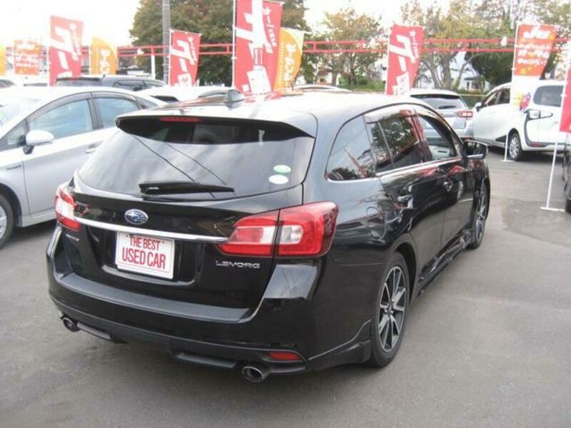 LEVORG