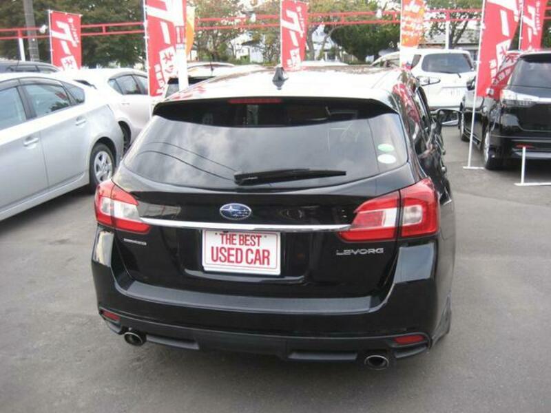 LEVORG