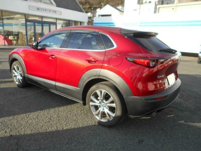 CX-30
