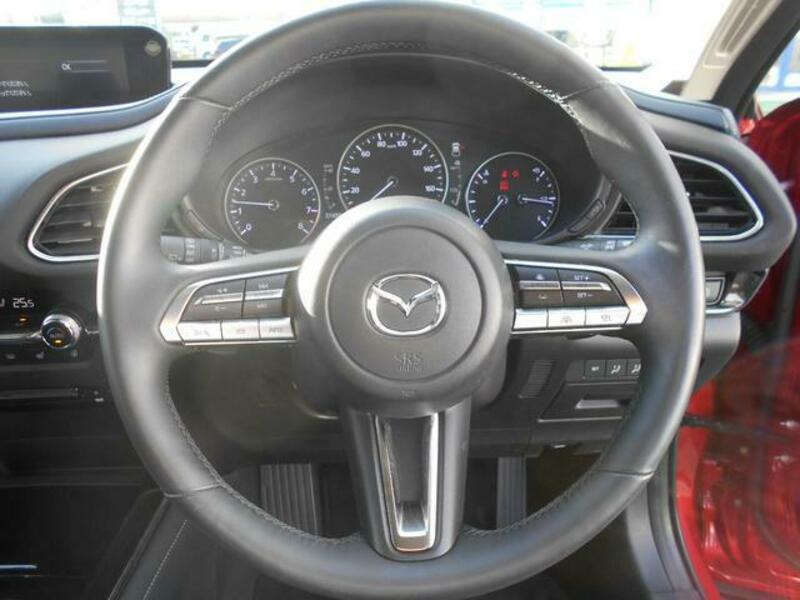 CX-30