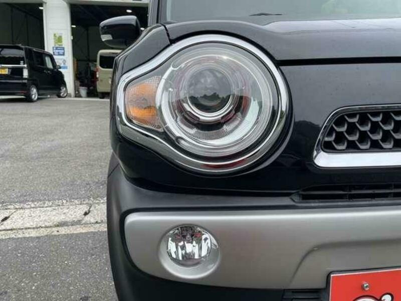 FLAIR CROSSOVER