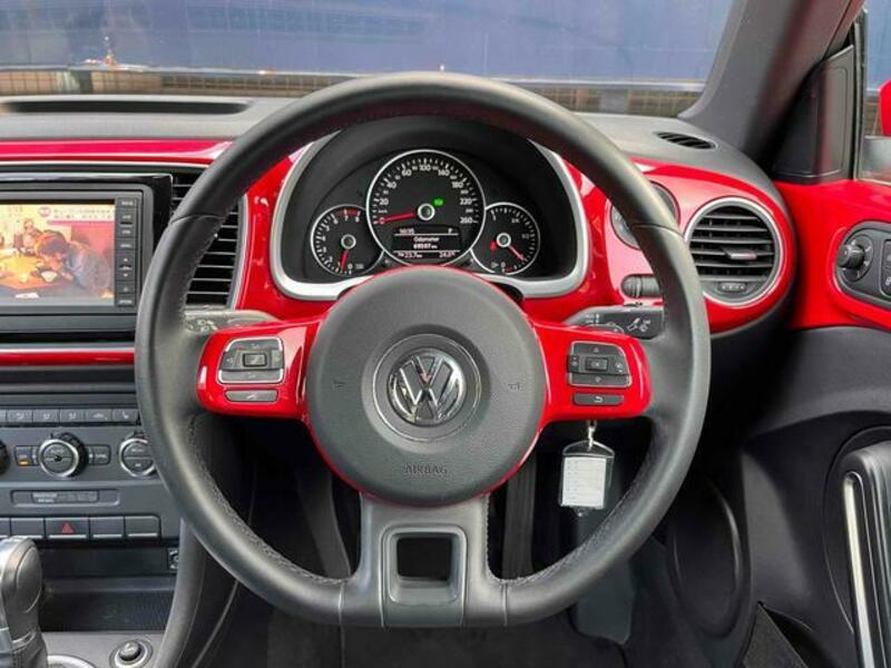 THE BEETLE