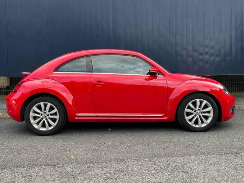 THE BEETLE