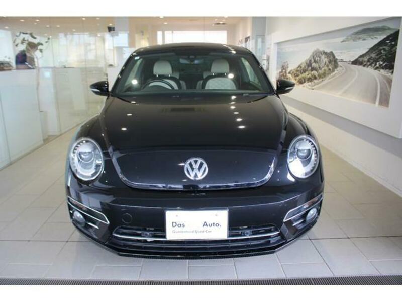 THE BEETLE